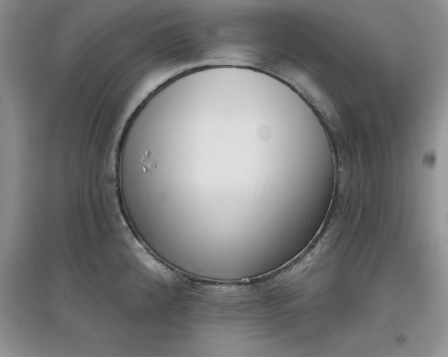 X0000097611192200803141932