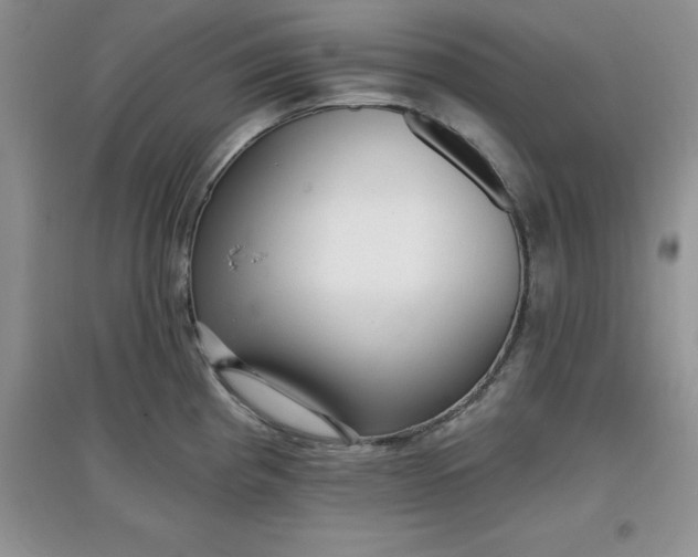 X0000097611193200803141932