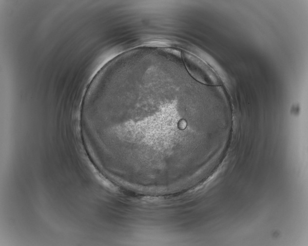 X0000097611194200803141932