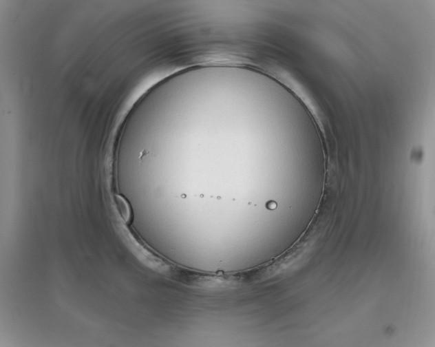 X0000097611195200803141932