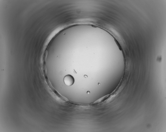 X0000097611196200803141932