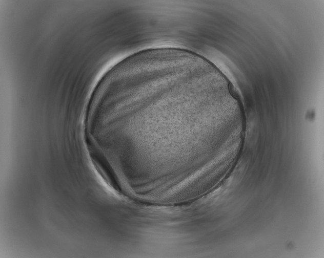 X0000097611197200803141932