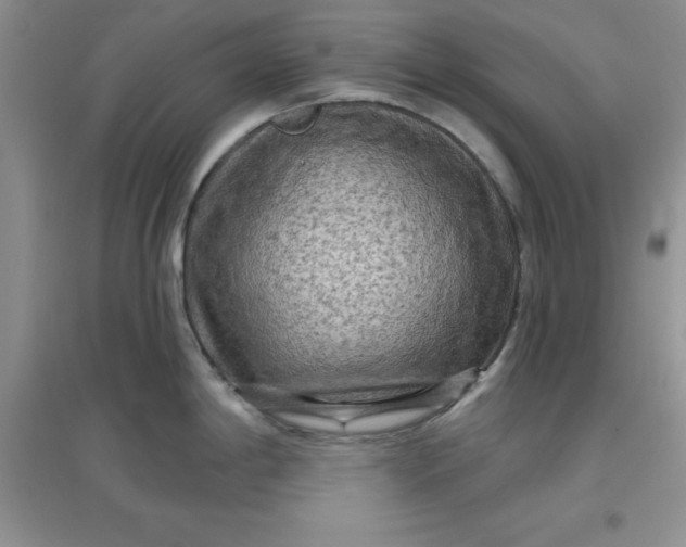 X0000097611198200803141932