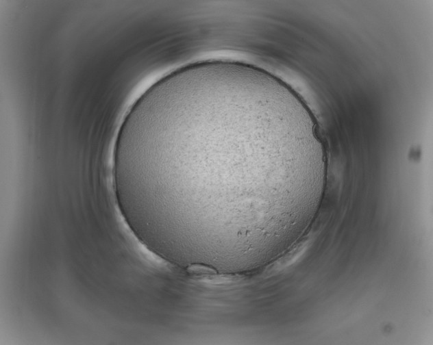 X0000097611199200803141932