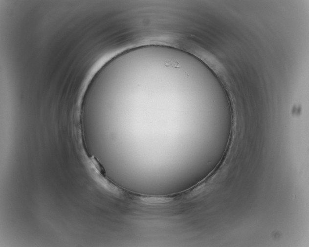 X0000097611200200803141932