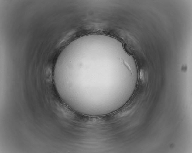 X0000097611203200803141931