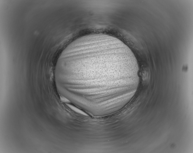 X0000097611204200803141931