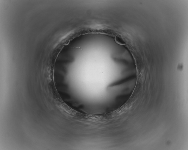 X0000097611205200803141931