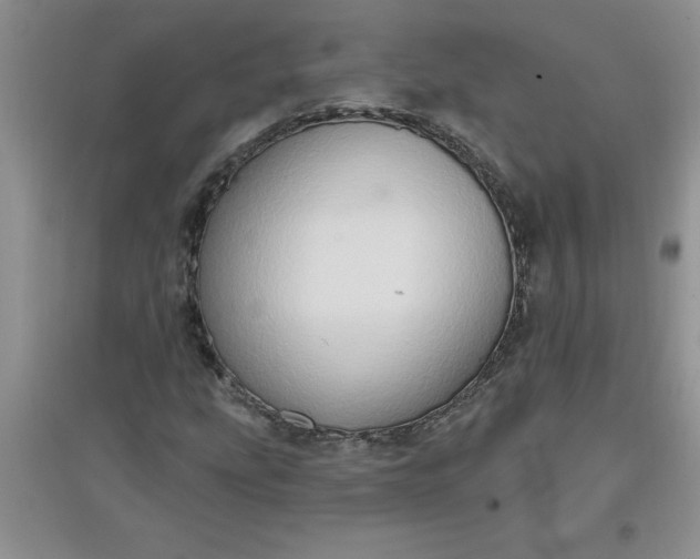 X0000097611207200803141931