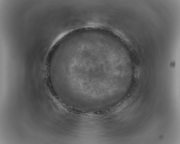 X0000097611208200803141931