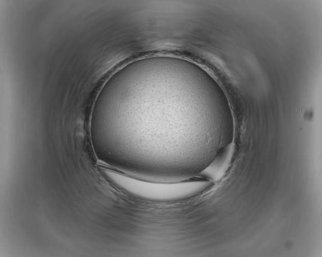 X0000097611209200803141932