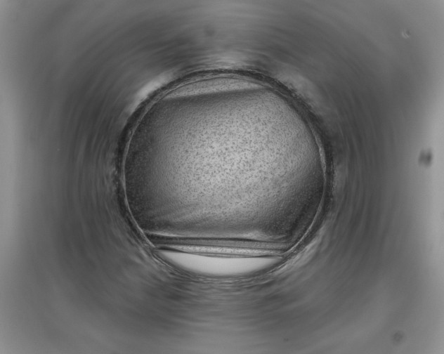 X0000097611210200803141932