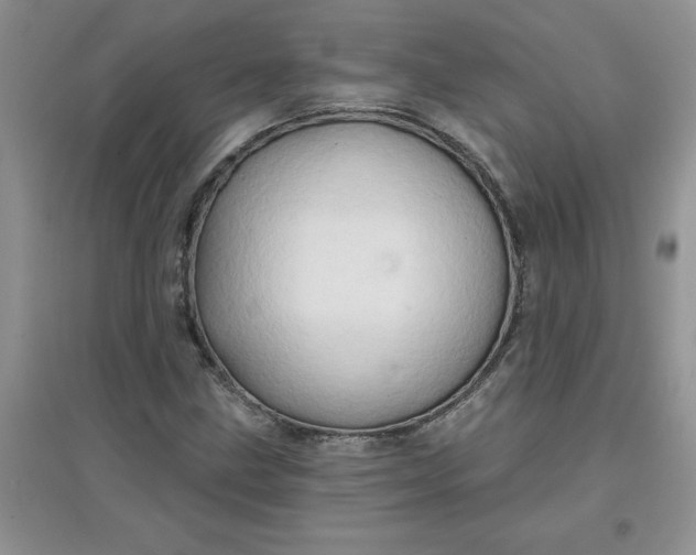 X0000097611211200803141932