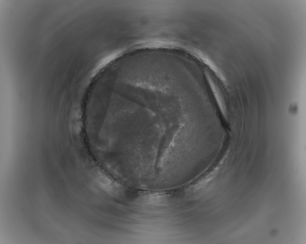 X0000097611213200803141932