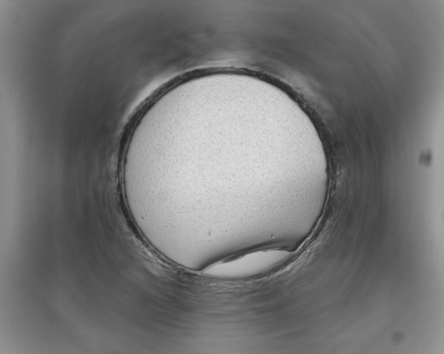 X0000097611216200803141932