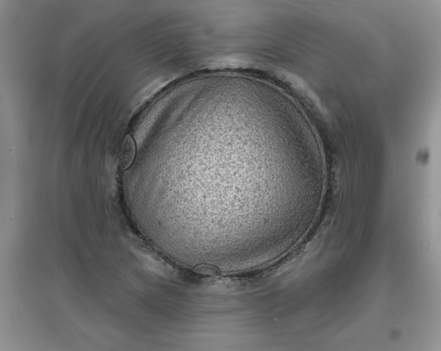 X0000097611217200803141932