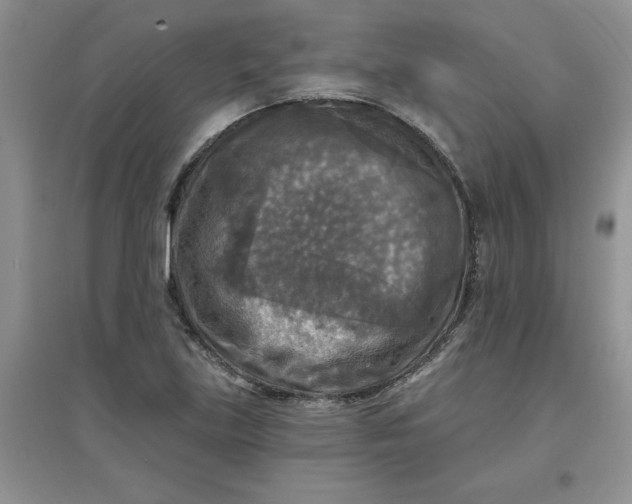 X0000097611219200803141932