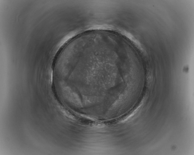 X0000097611221200803141932