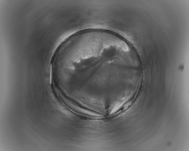 X0000097611223200803141932