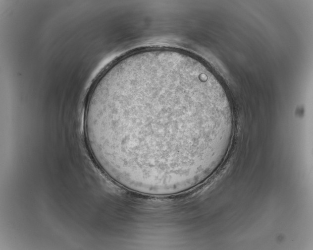 X0000097611224200803141932