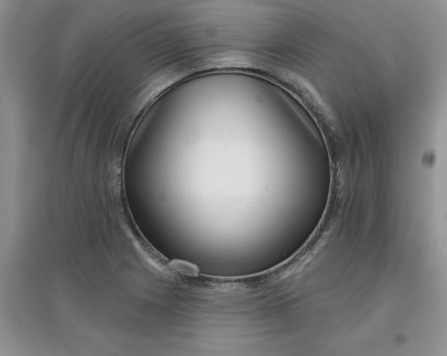 X0000097611225200803141932