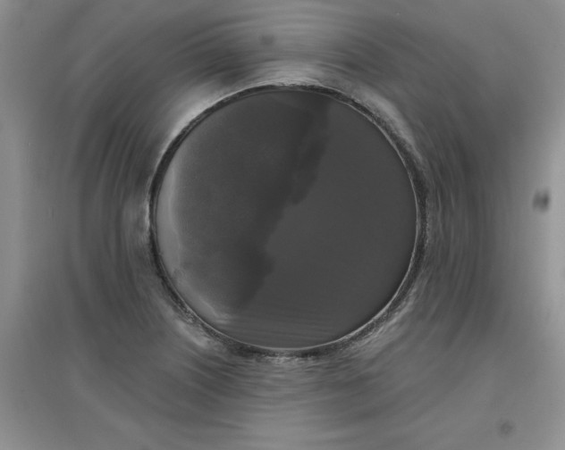 X0000097611226200803141932