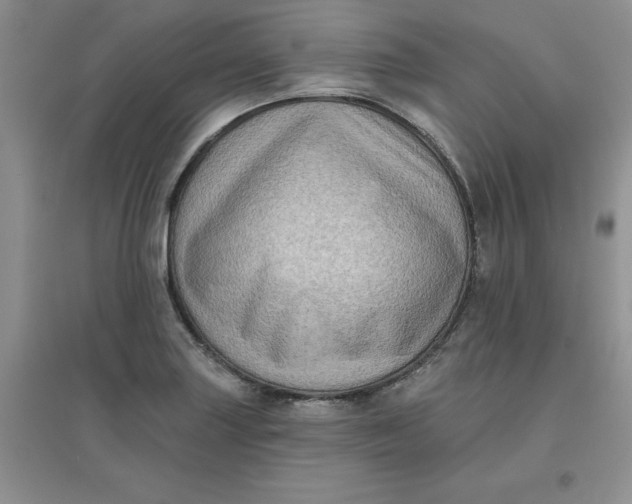 X0000097611227200803141932