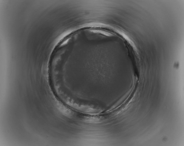 X0000097611229200803141932