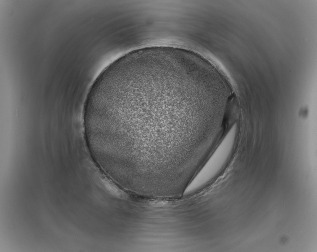 X0000097611230200803141932