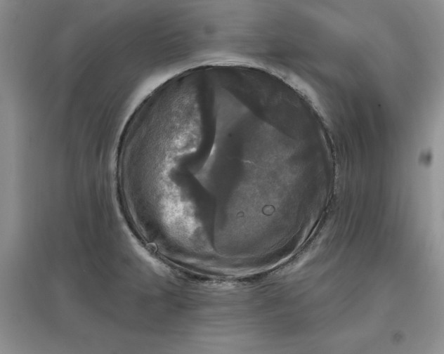 X0000097611231200803141932