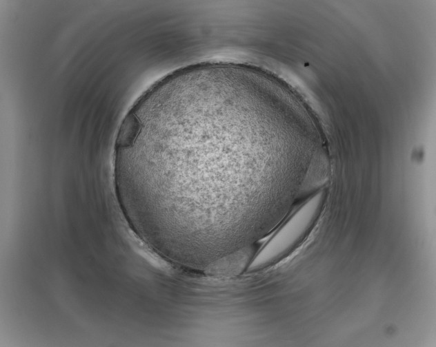 X0000097611232200803141932