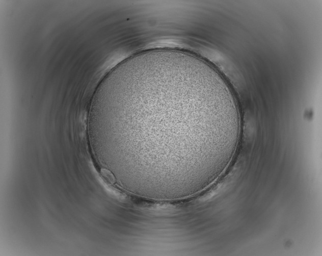 X0000097611233200803141932