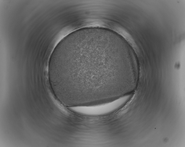 X0000097611234200803141932