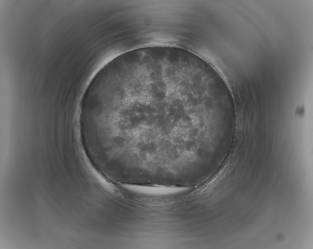 X0000097611235200803141932