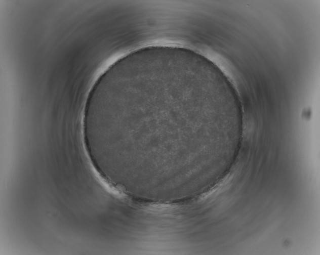 X0000097611237200803141932