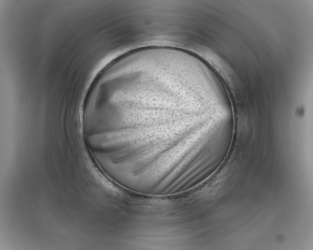 X0000097611238200803141932