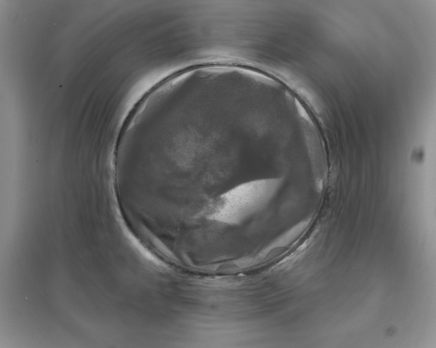 X0000097611239200803141932