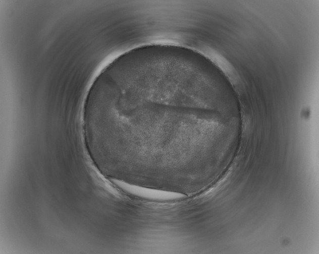 X0000097611240200803141932