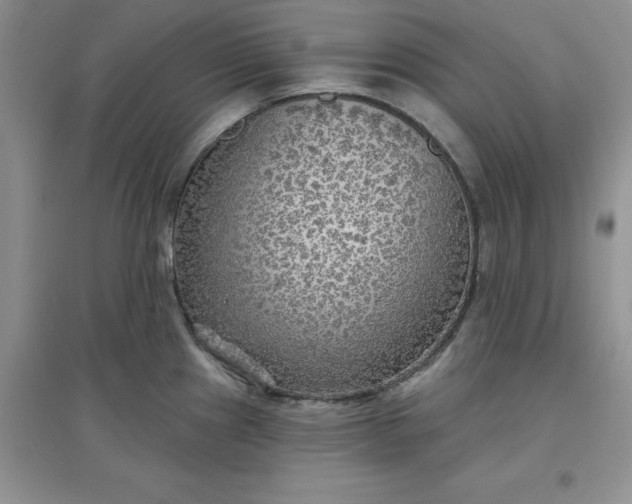 X0000097611241200803141932