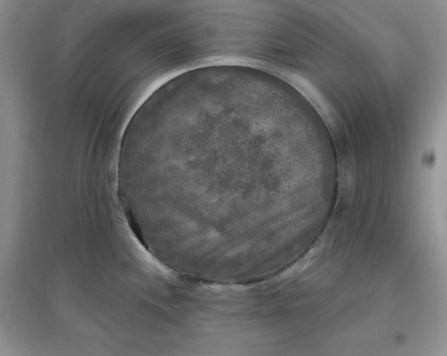 X0000097611244200803141932