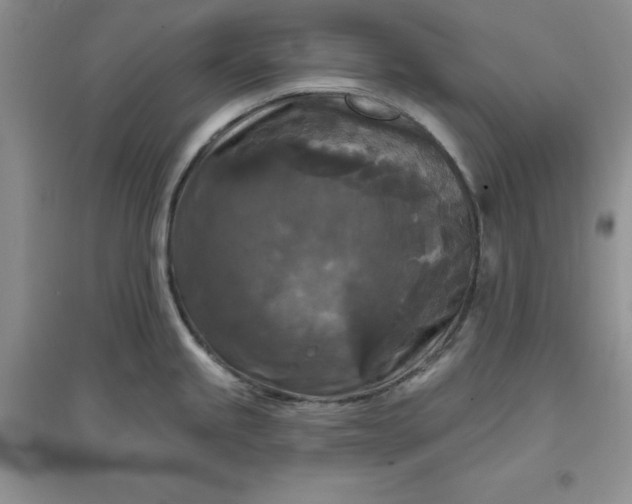 X0000097611245200803141932