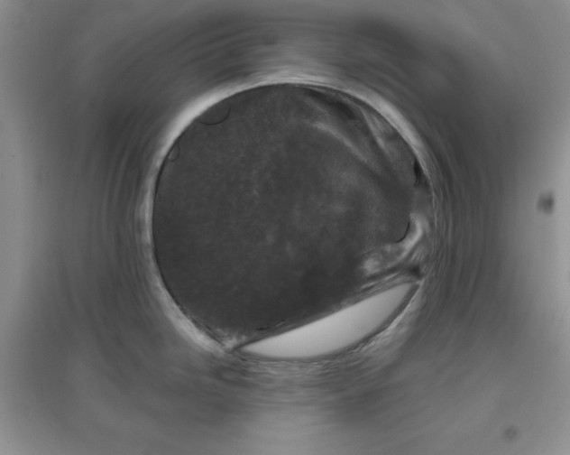 X0000097611246200803141932