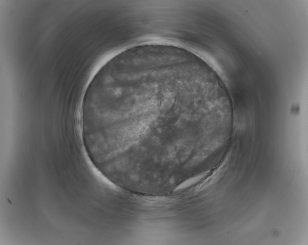 X0000097611247200803141932