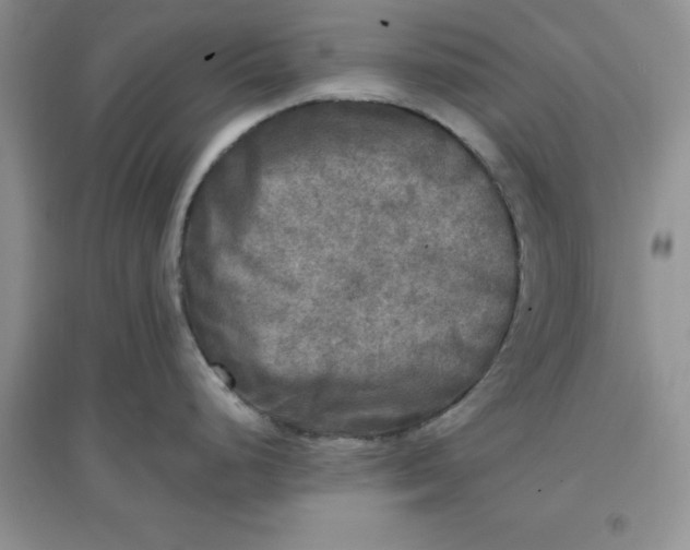 X0000097611248200803141932