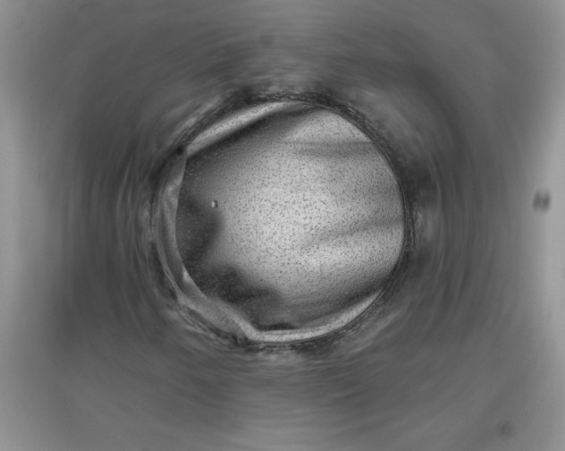 X0000097611250200803141931