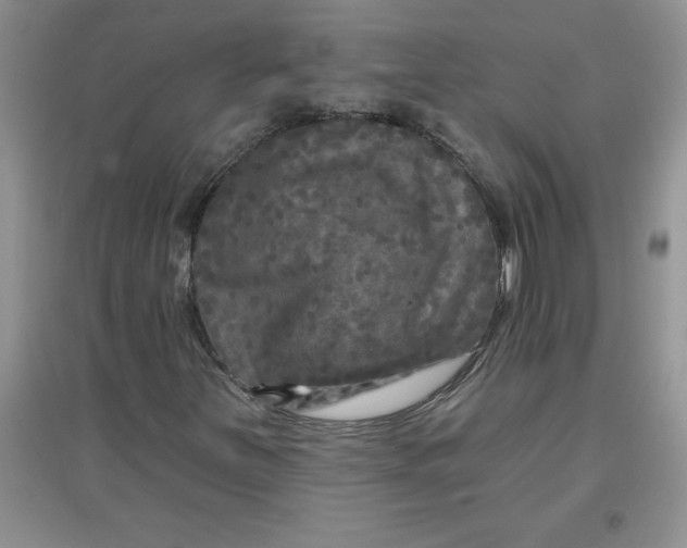 X0000097611251200803141931