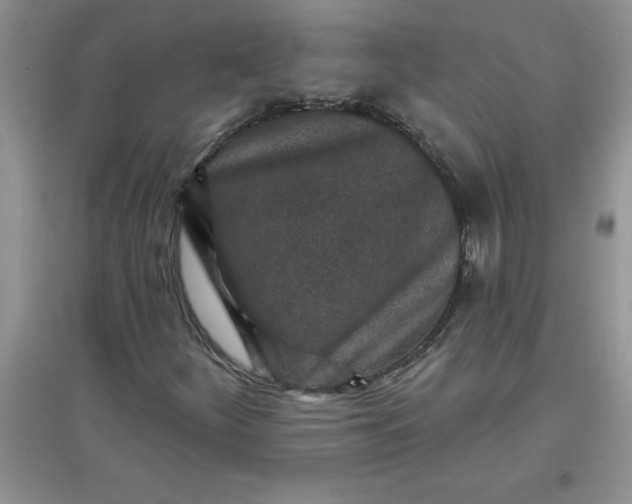 X0000097611252200803141931