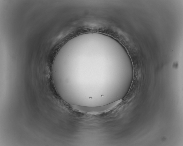 X0000097611253200803141931