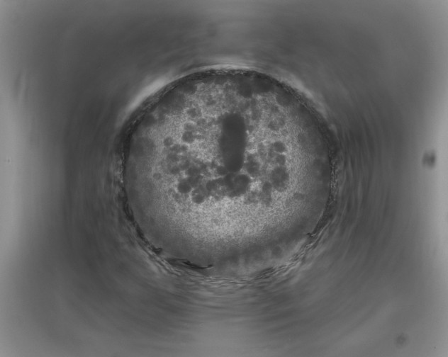 X0000097611255200803141931