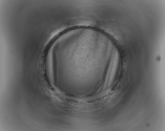 X0000097611256200803141931